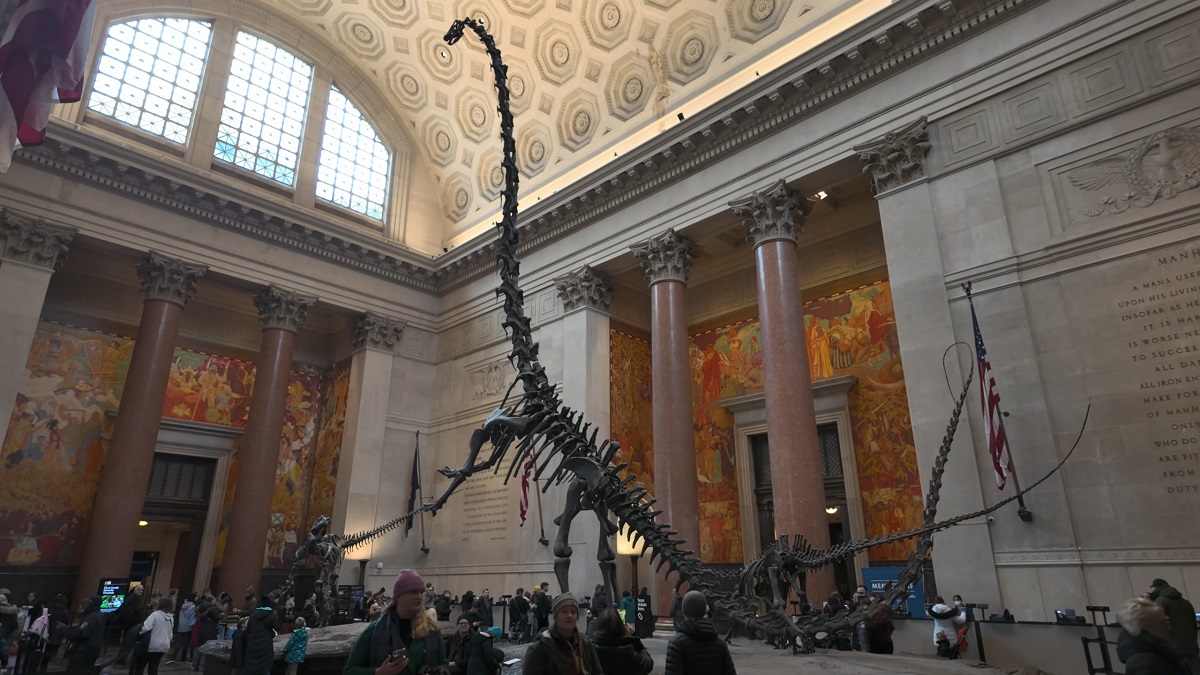 A towering dinosaur skeleton displayed in the grand entrance hall of the American Museum of Natural History in New York