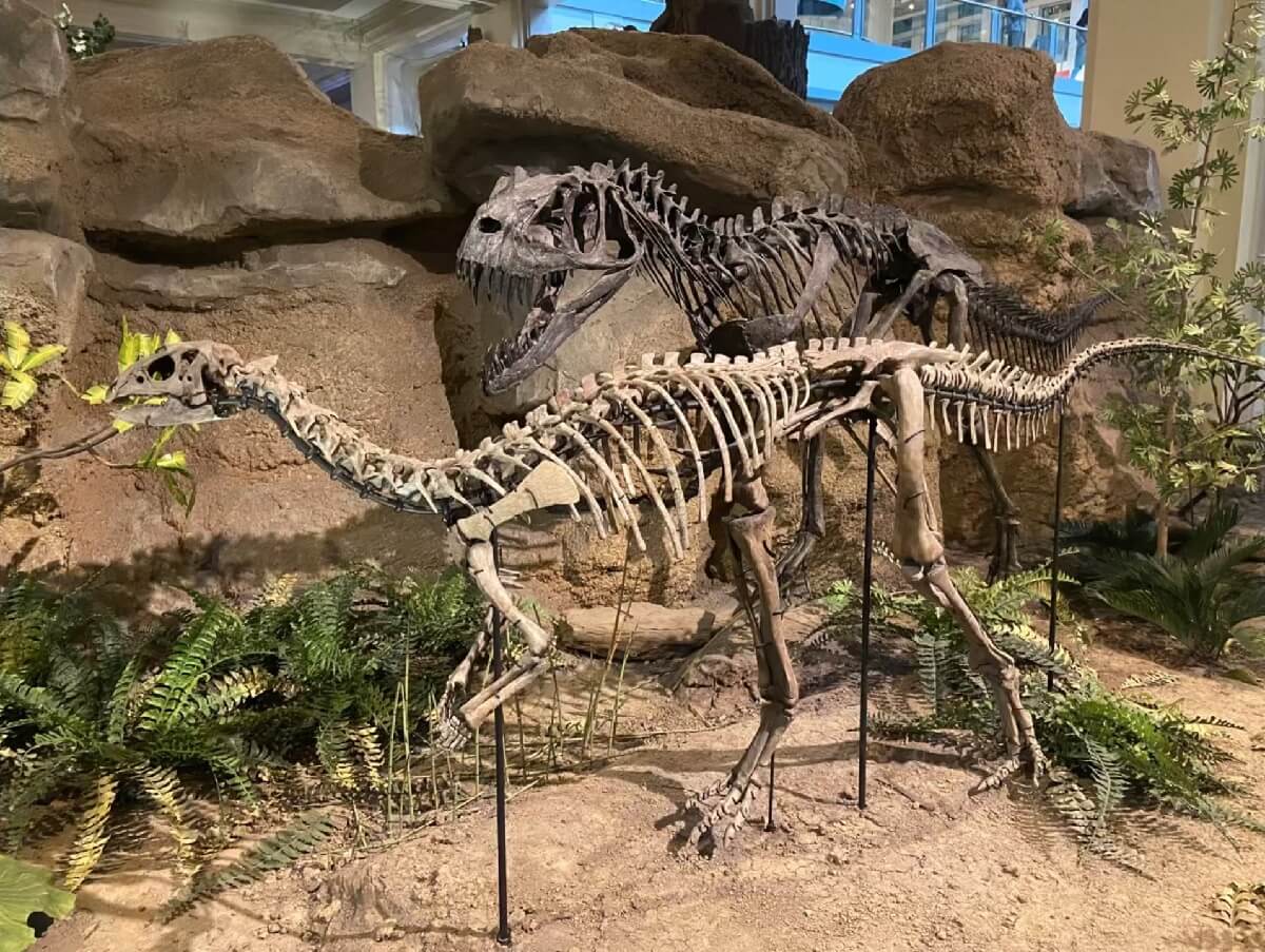 A dramatic dinosaur exhibit at the Carnegie Museum of Natural History in Pittsburgh