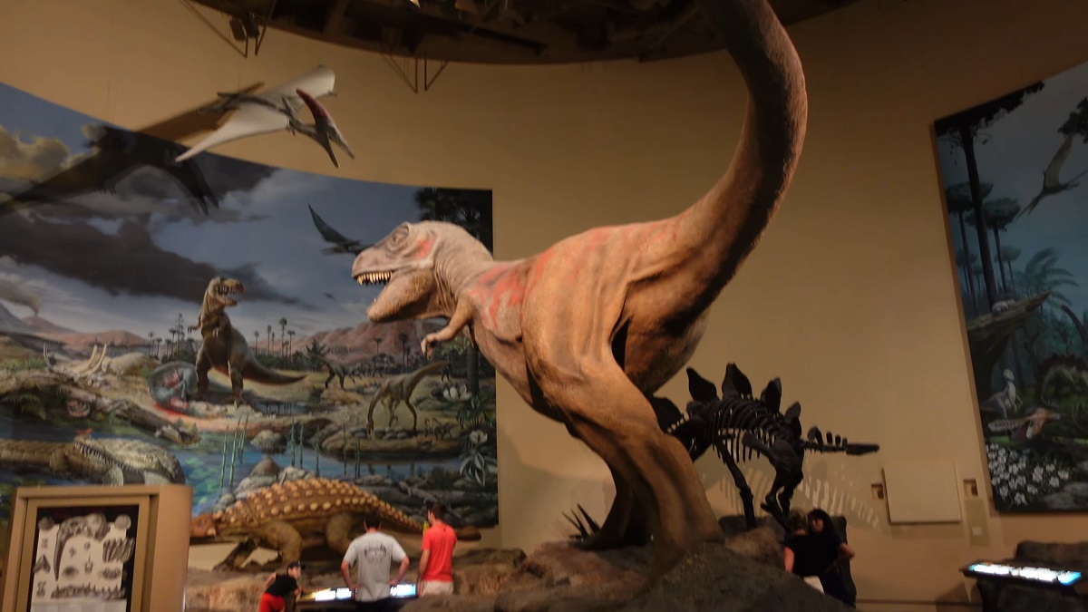 A life-sized animatronic Tyrannosaurus rex in a dinosaur exhibit, surrounded by prehistoric murals and other dinosaur models