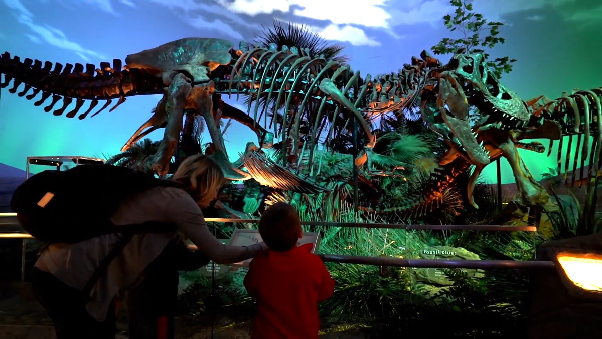 Dinosaur fossil exhibit in a dimly lit museum, illuminated with green and blue lights