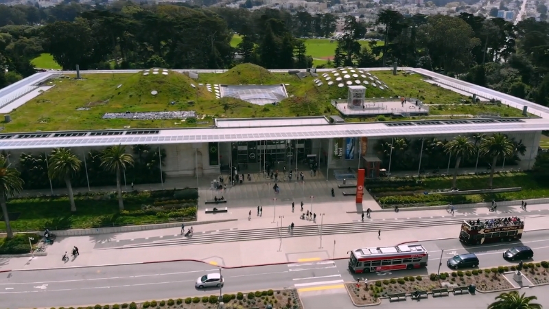 The California Academy of Sciences with a green roof in San Francisco