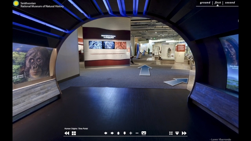 Interactive virtual exhibit in the Smithsonian National Museum of Natural History