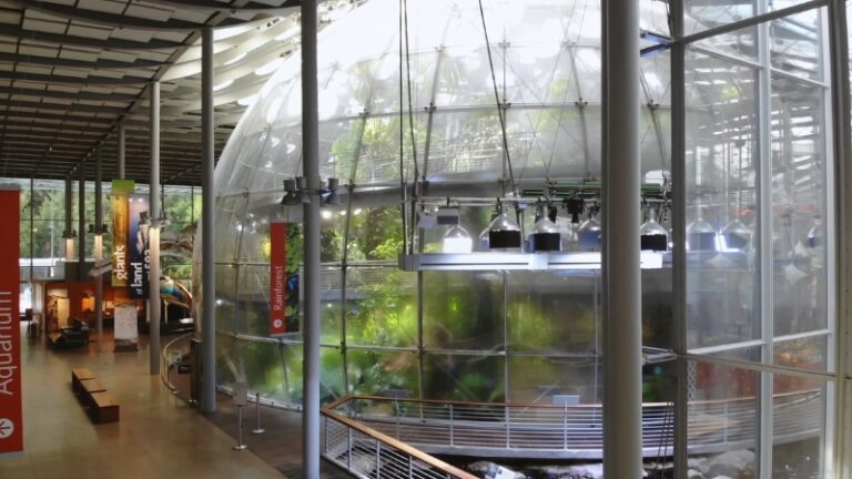 Greenhouse-like exhibit at a green museum, highlighting sustainable architecture and natural elements