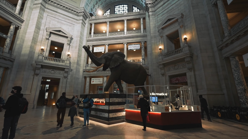 Smithsonian National Museum of Natural History featuring an elephant statue and visitors