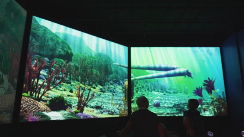 Two people interacting with an immersive underwater exhibit at The Manitoba Museum in Winnipeg, MB